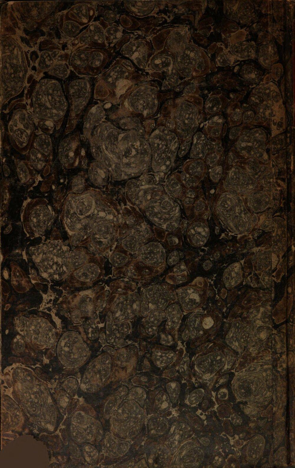 Image 00196