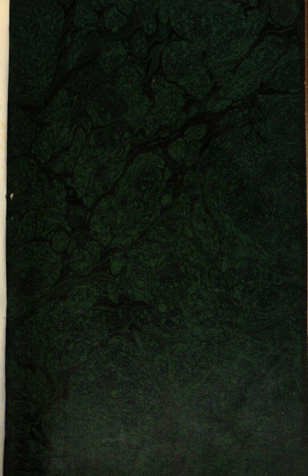 Image 00005