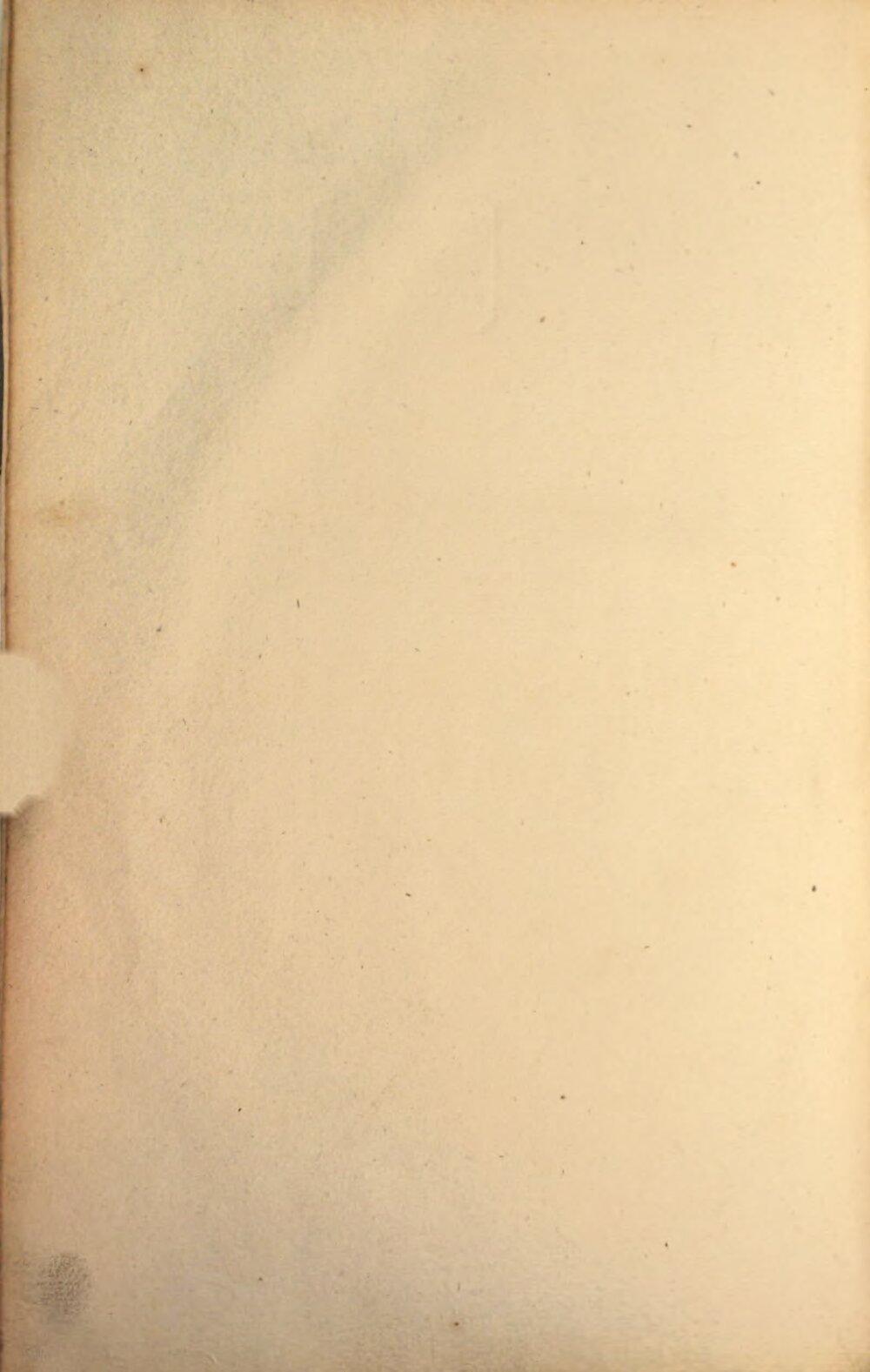 Image 00008