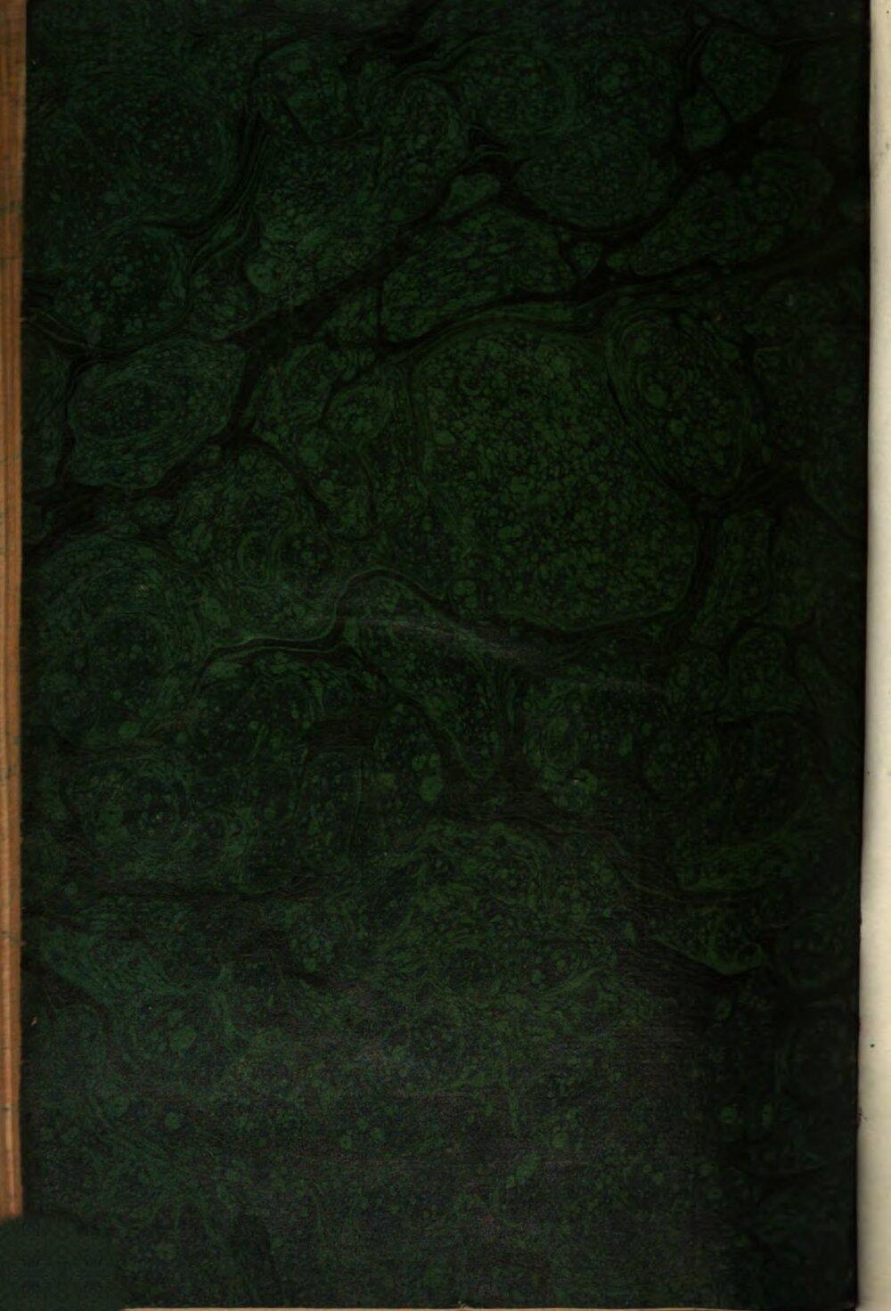 Image 00800