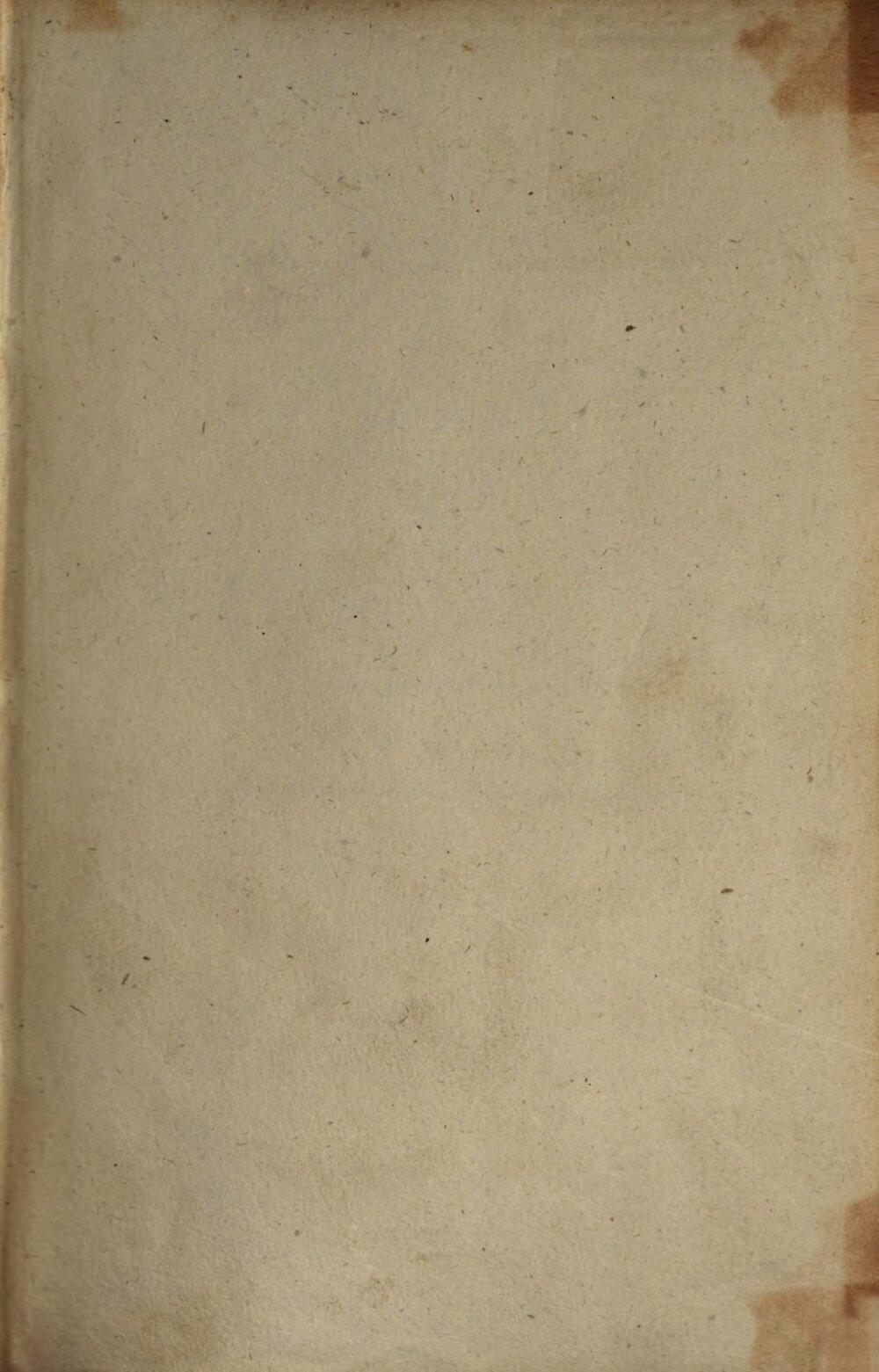 Image 00003
