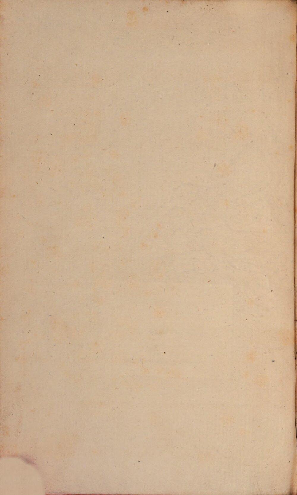 Image 00004