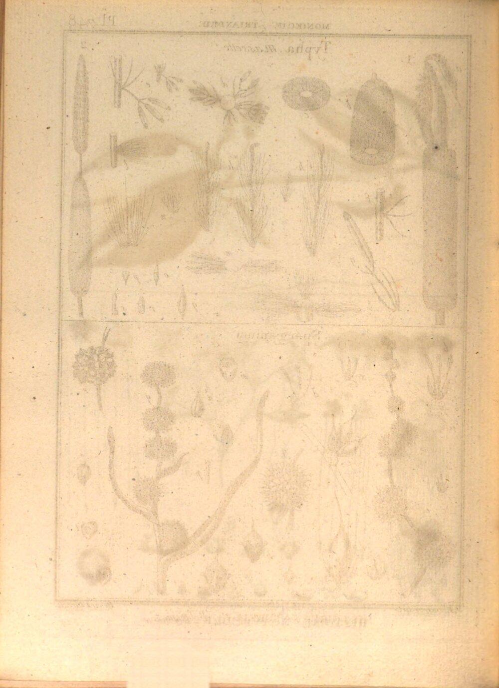 Image 00230