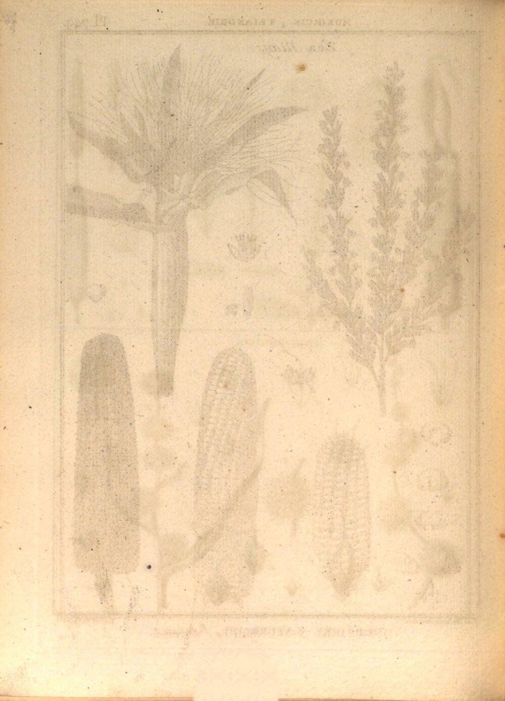 Image 00232