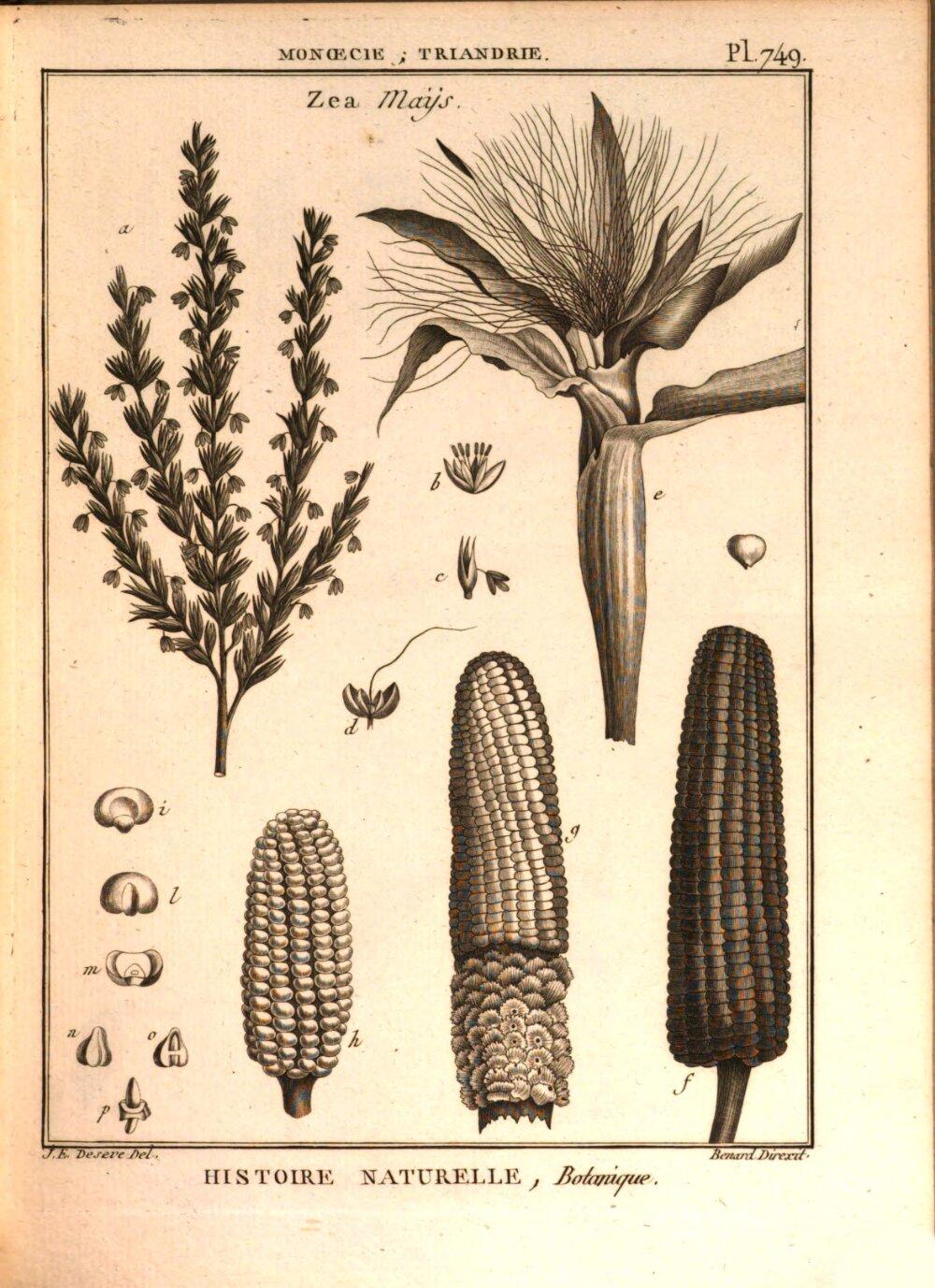 Image 00233