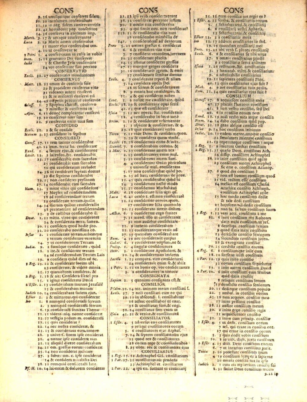Image 00235