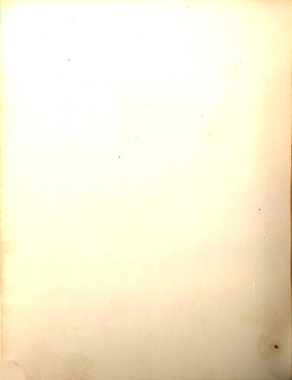 Image 00112