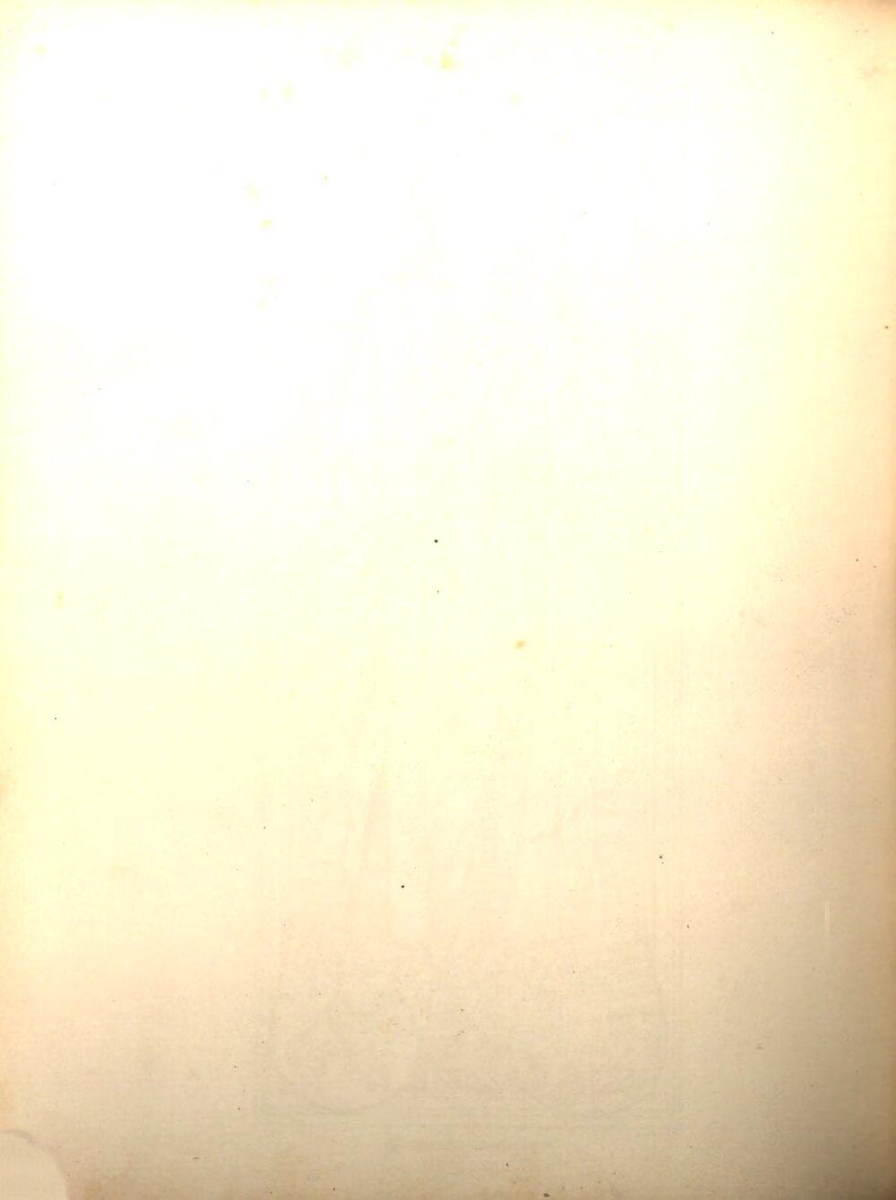 Image 00194