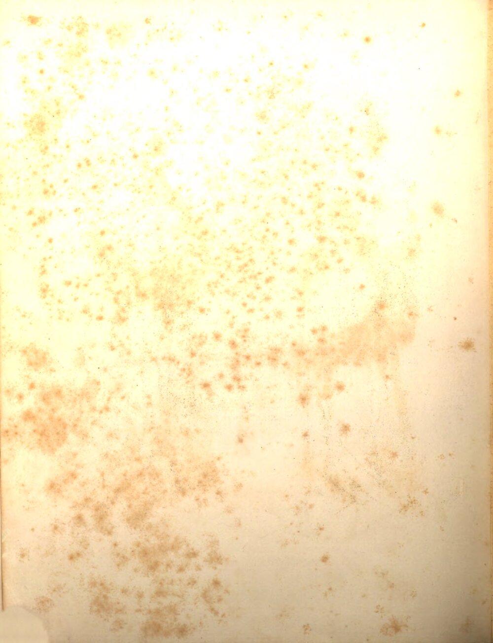 Image 00246