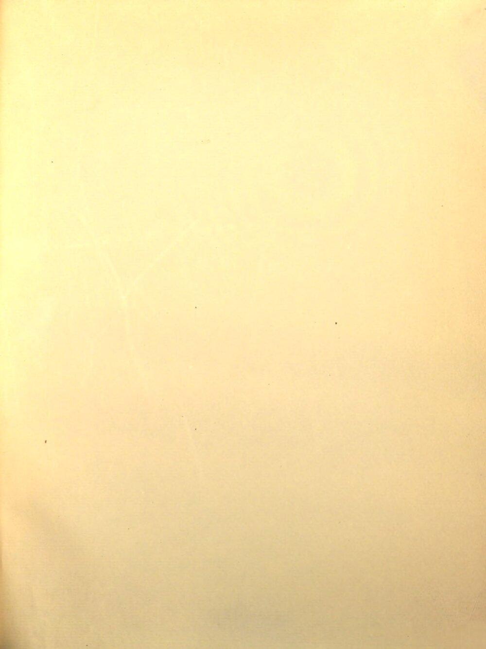 Image 00249