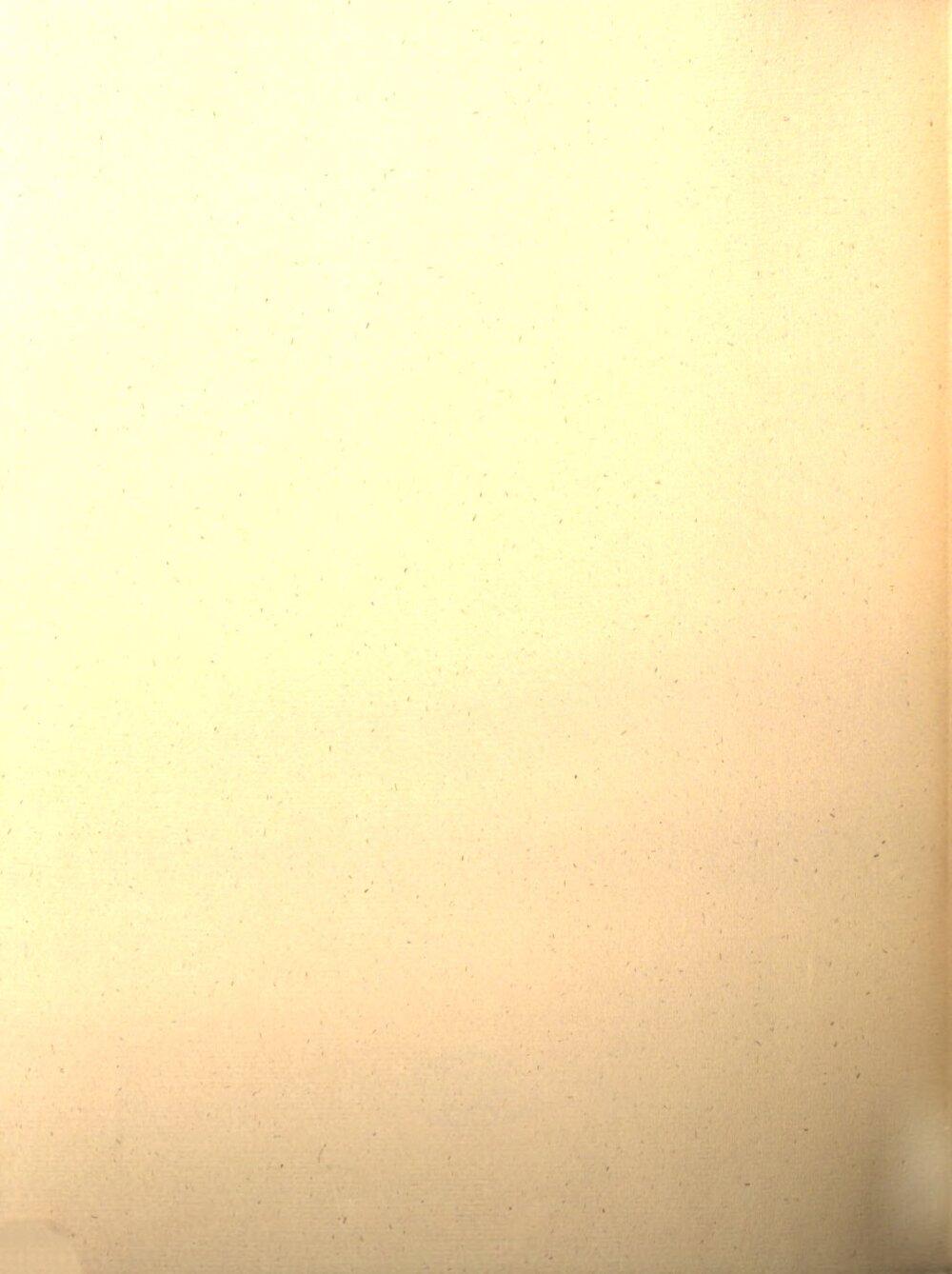 Image 00232
