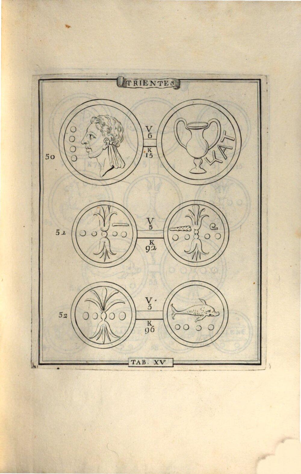 Image 00049