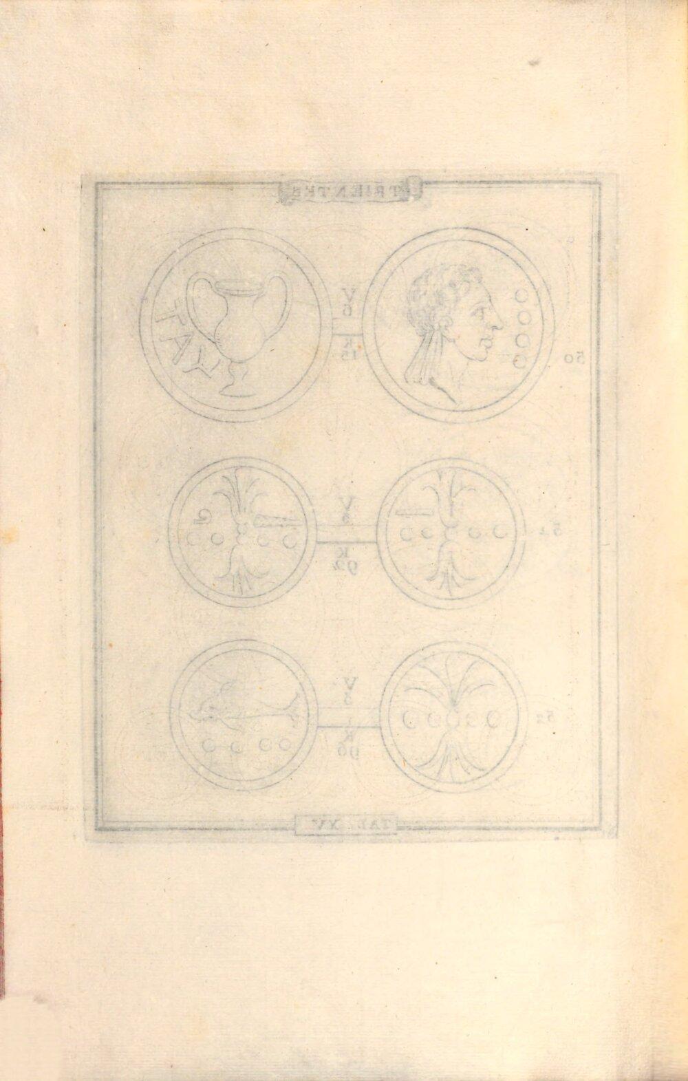 Image 00050