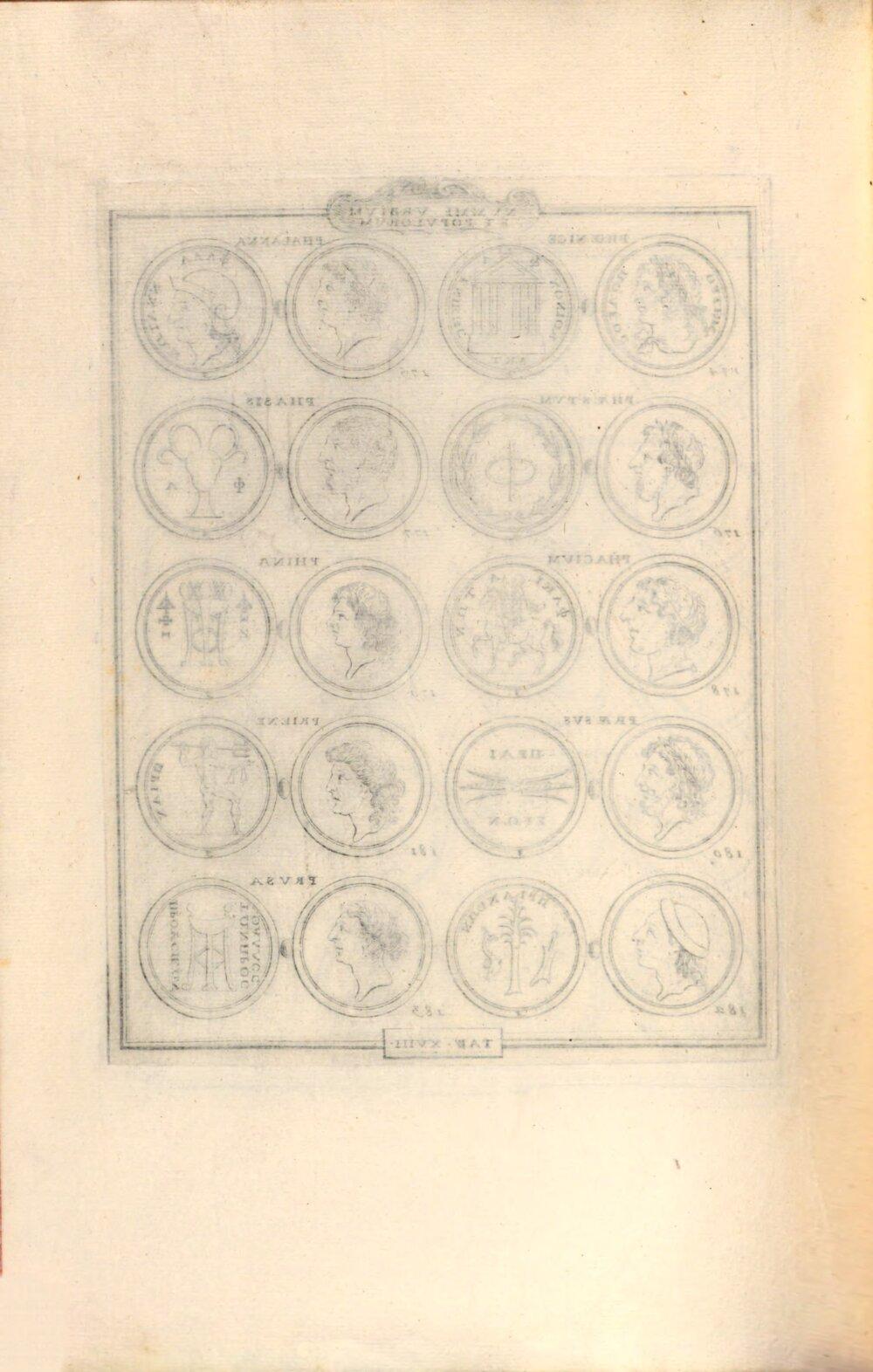 Image 00144