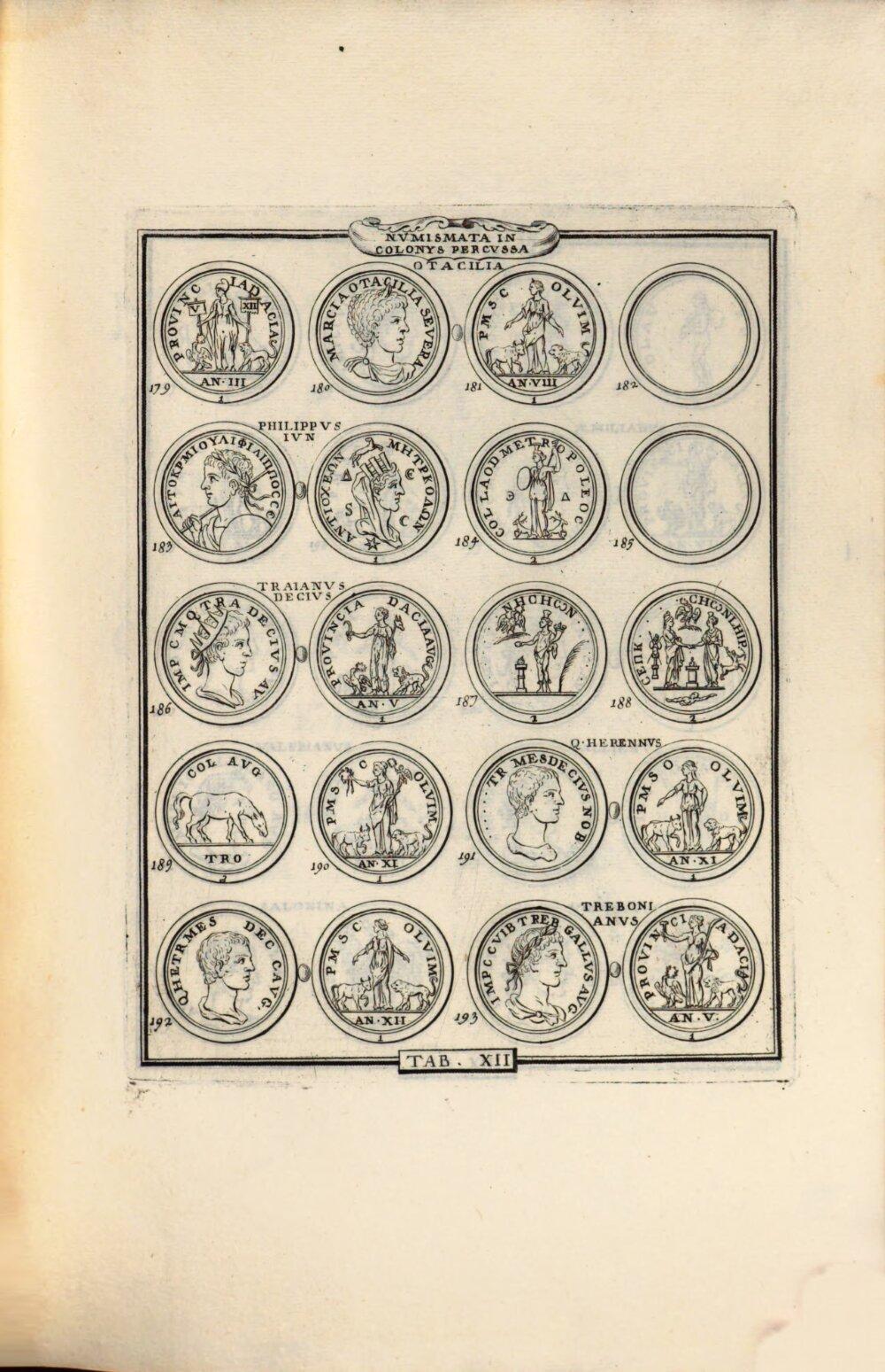 Image 00241