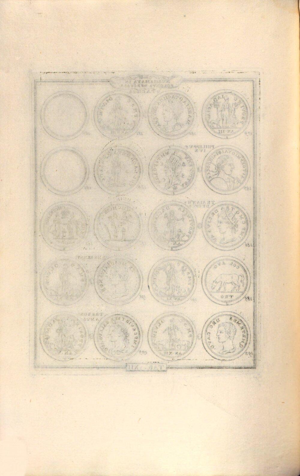 Image 00242