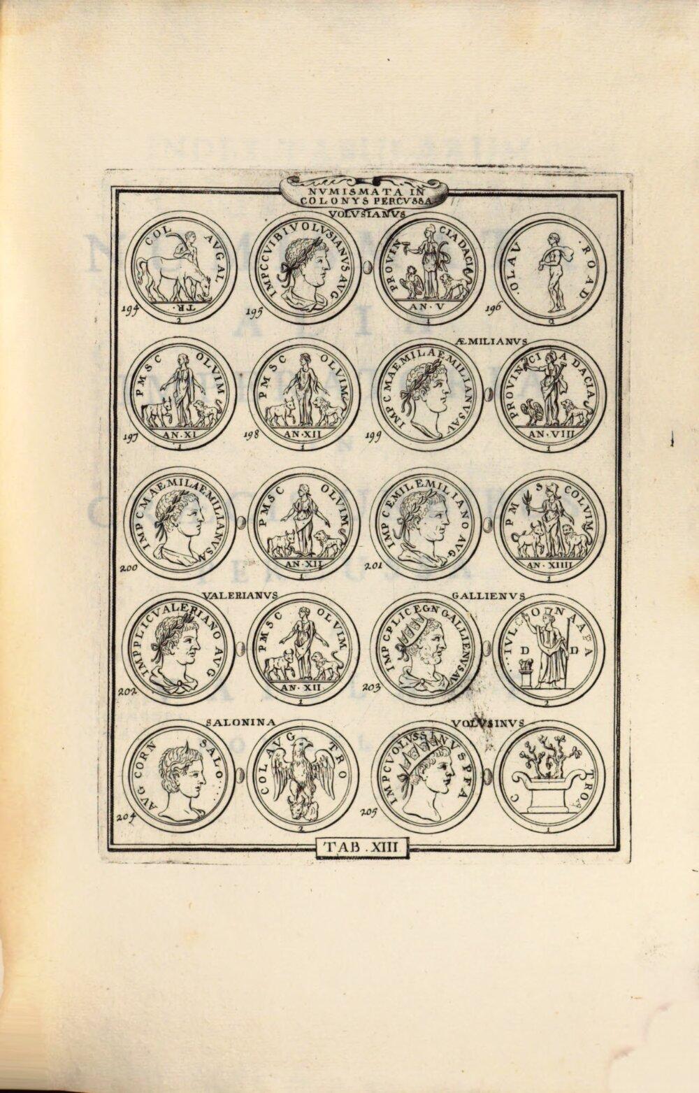 Image 00243