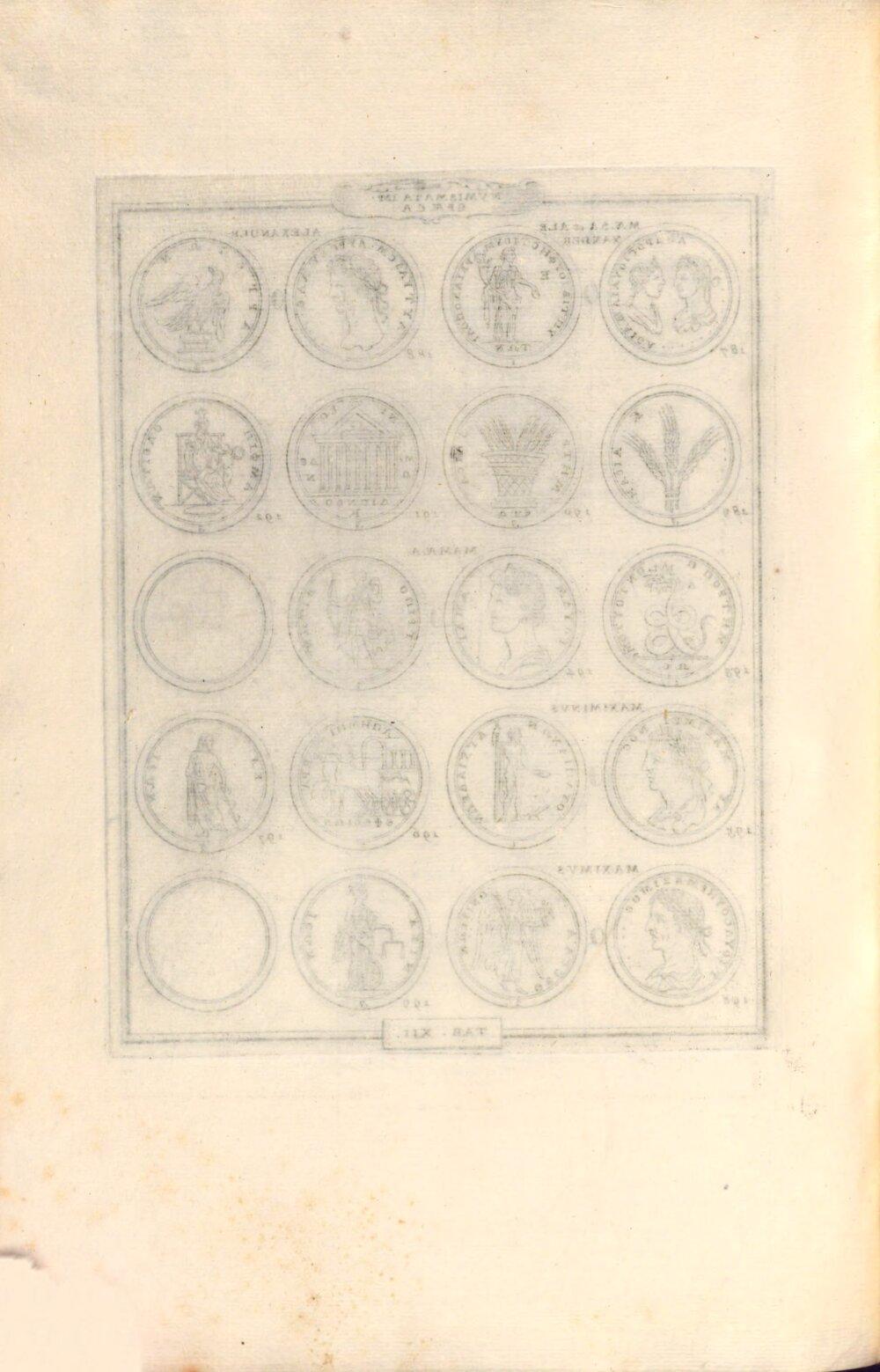 Image 00274