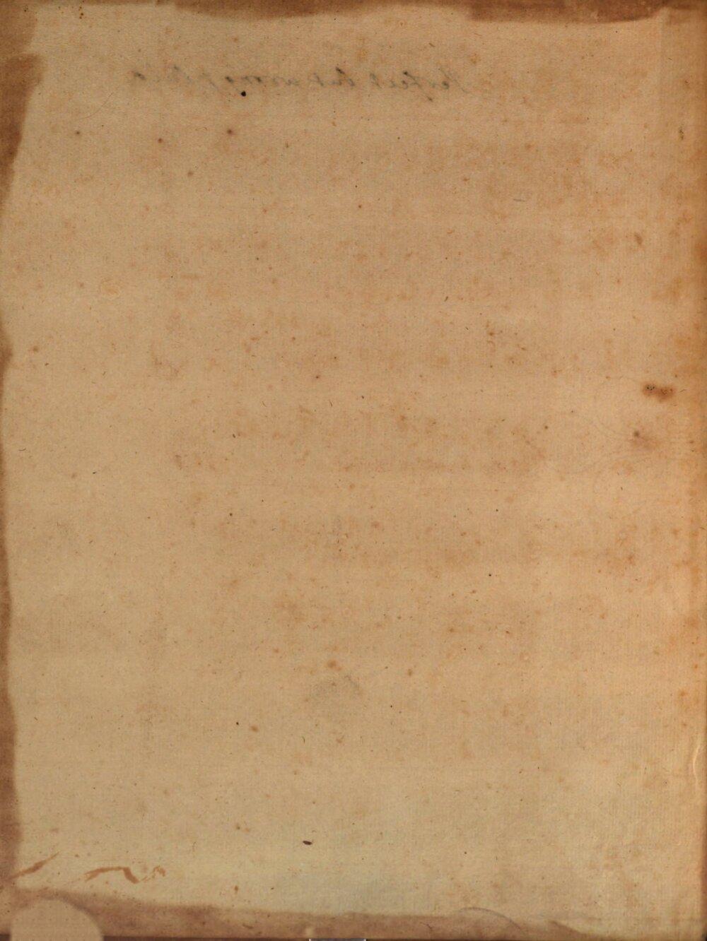 Image 00004