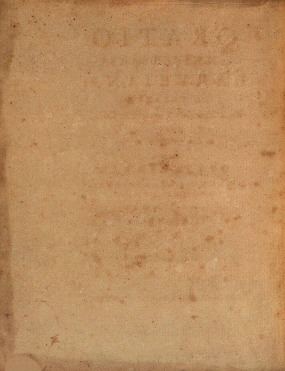 Image 00006