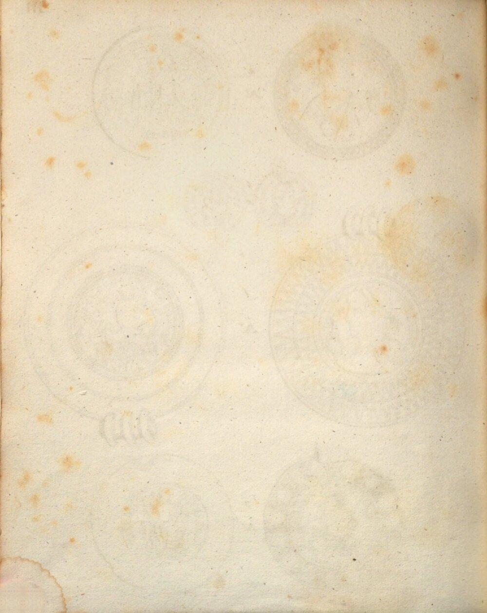Image 00042