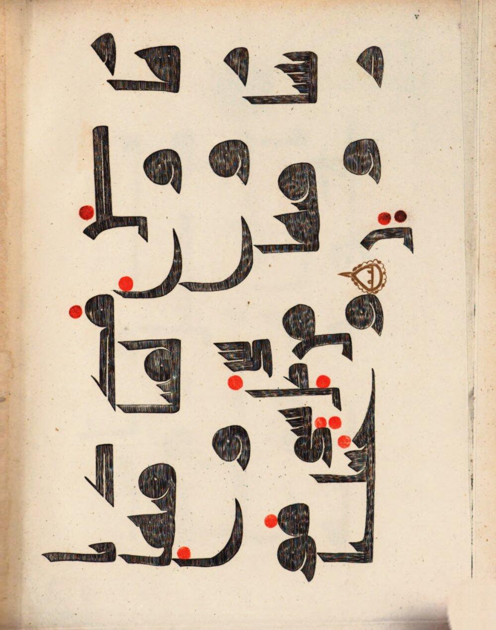 Image 00079