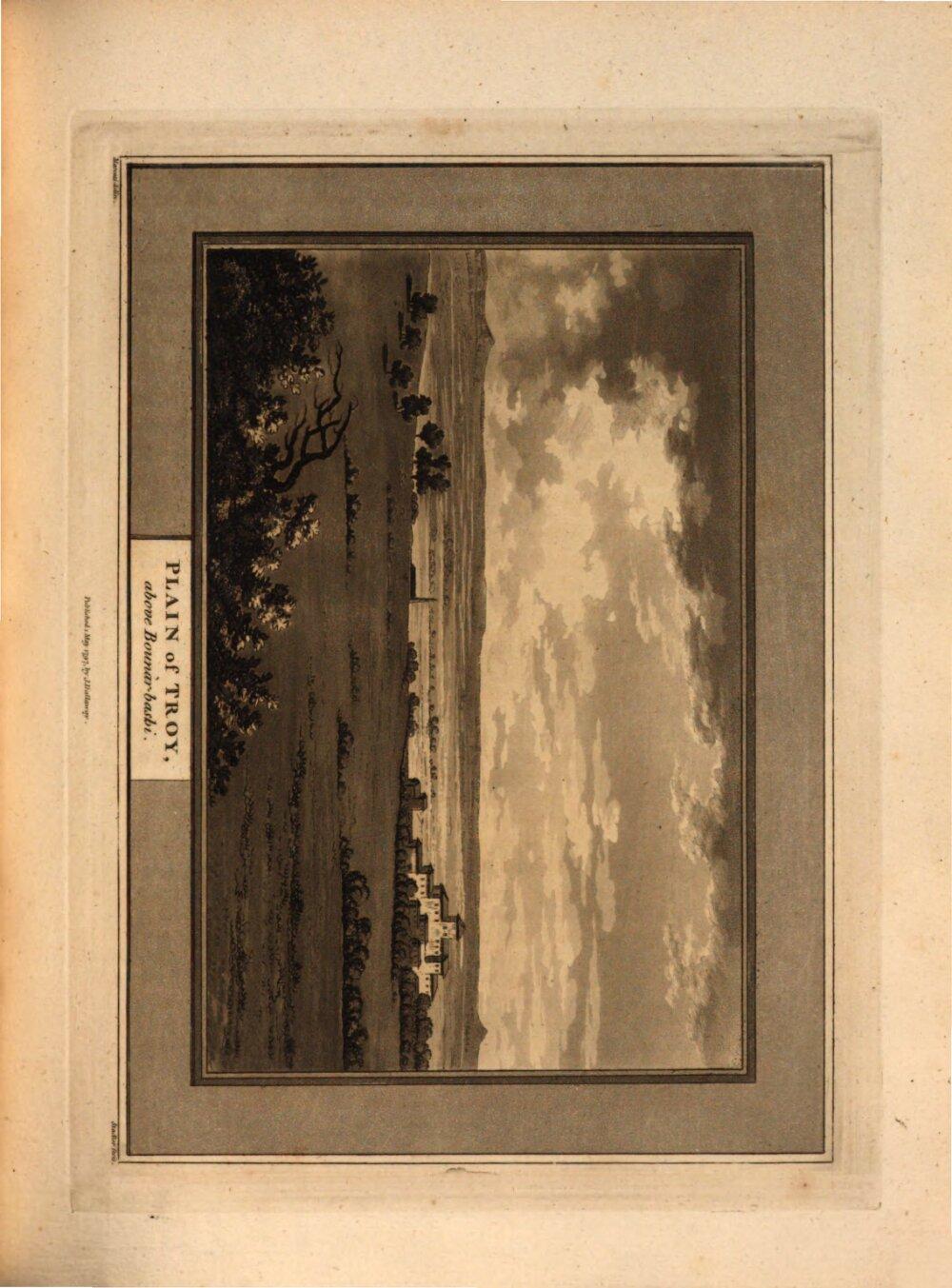 Image 00375