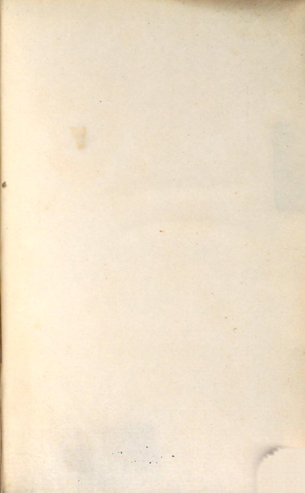 Image 01373