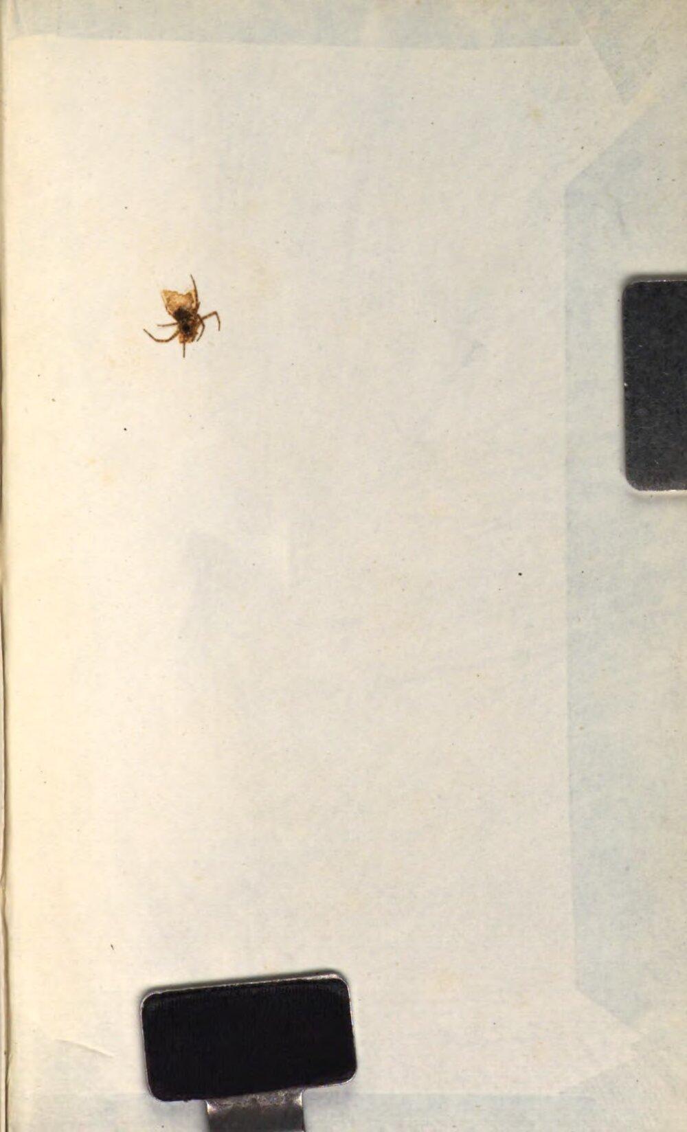 Image 01375