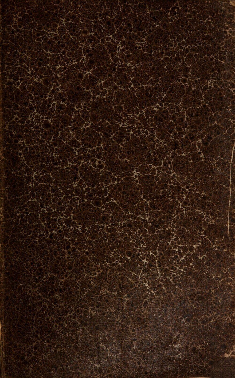 Image 00003