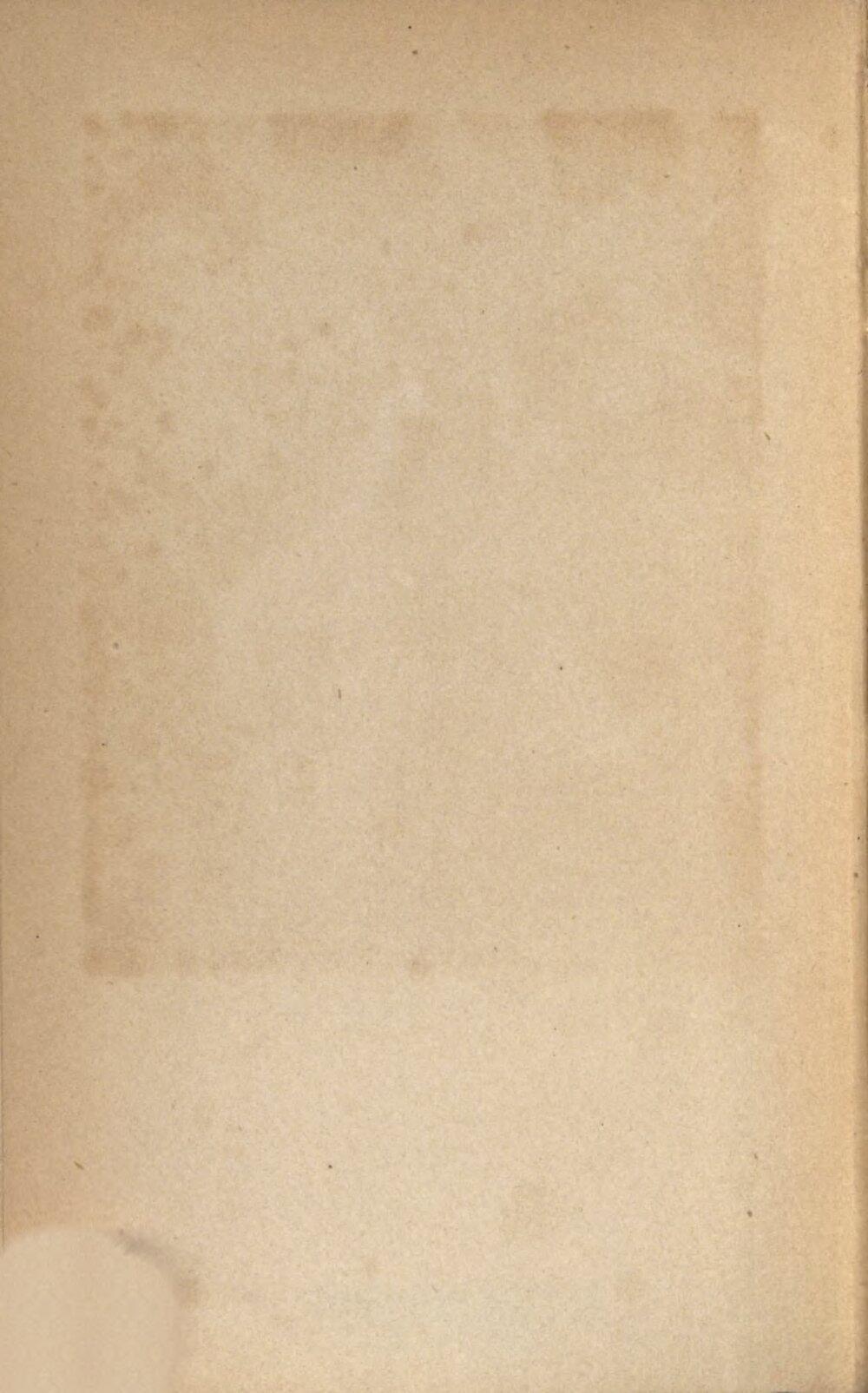 Image 00004