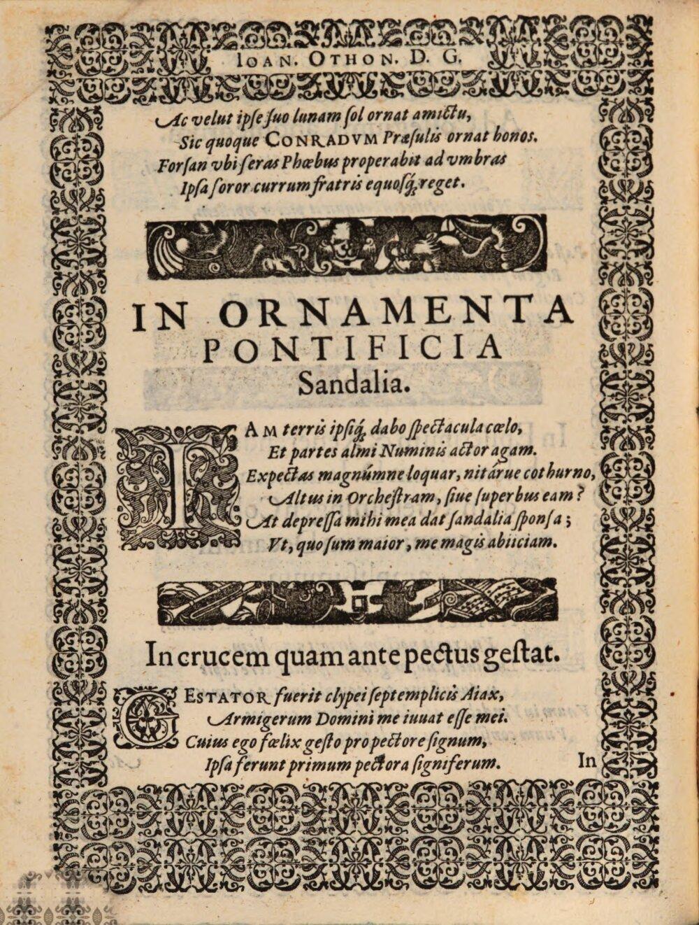 Image 00036
