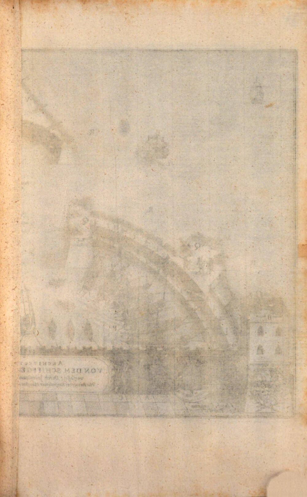 Image 00005