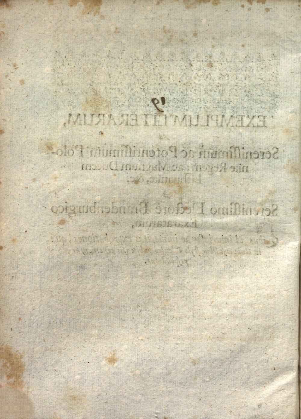Image 00004
