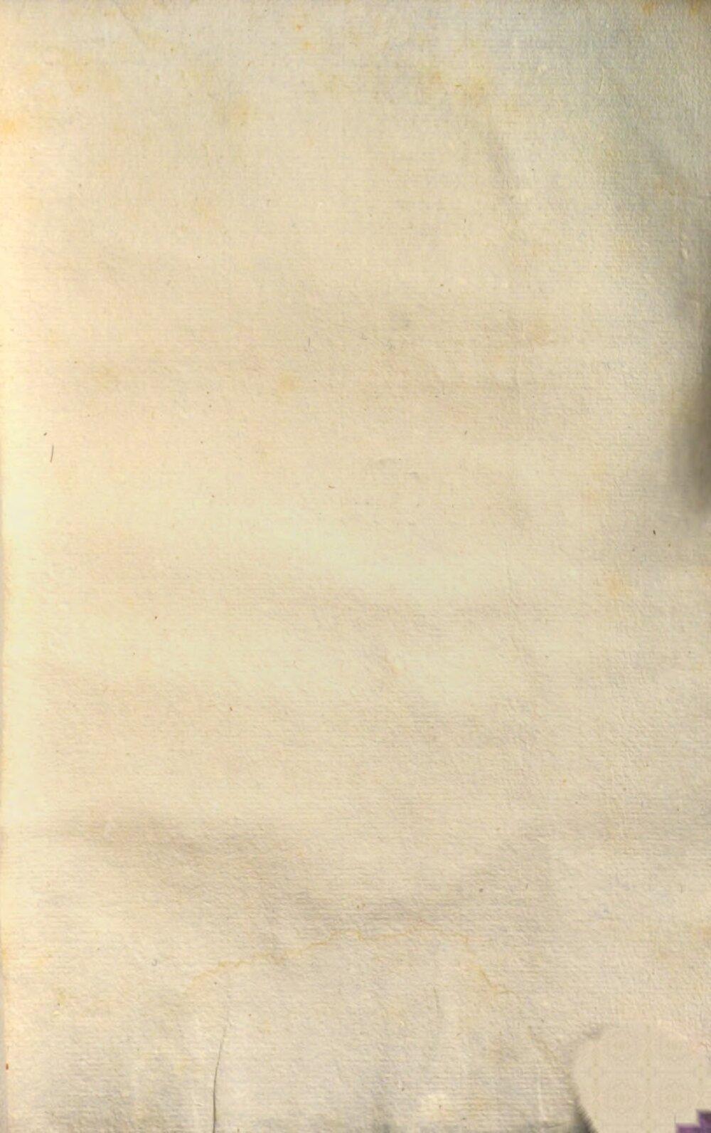 Image 00335