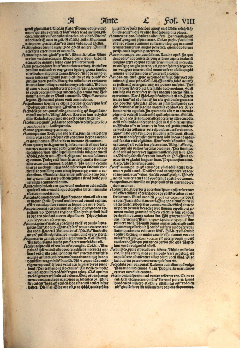 Image 00017