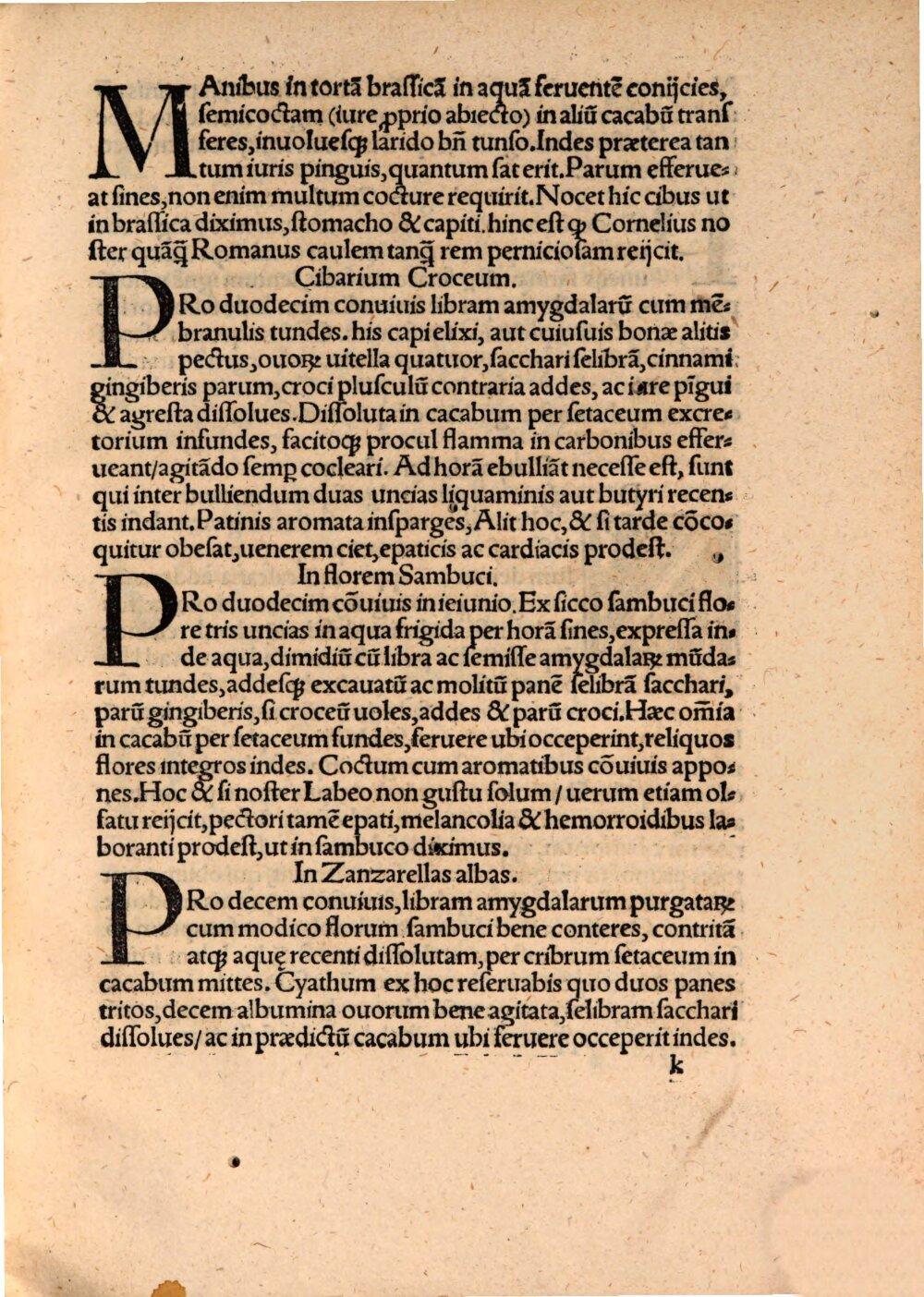Image 00101