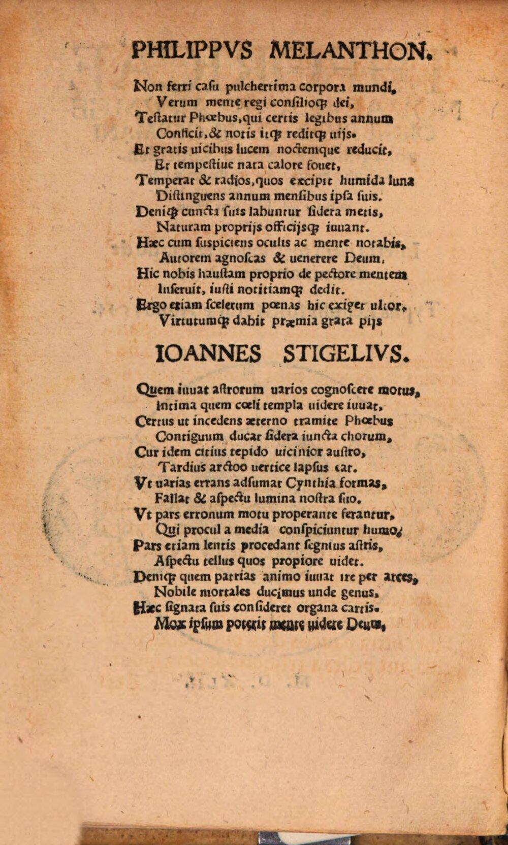 Image 00004