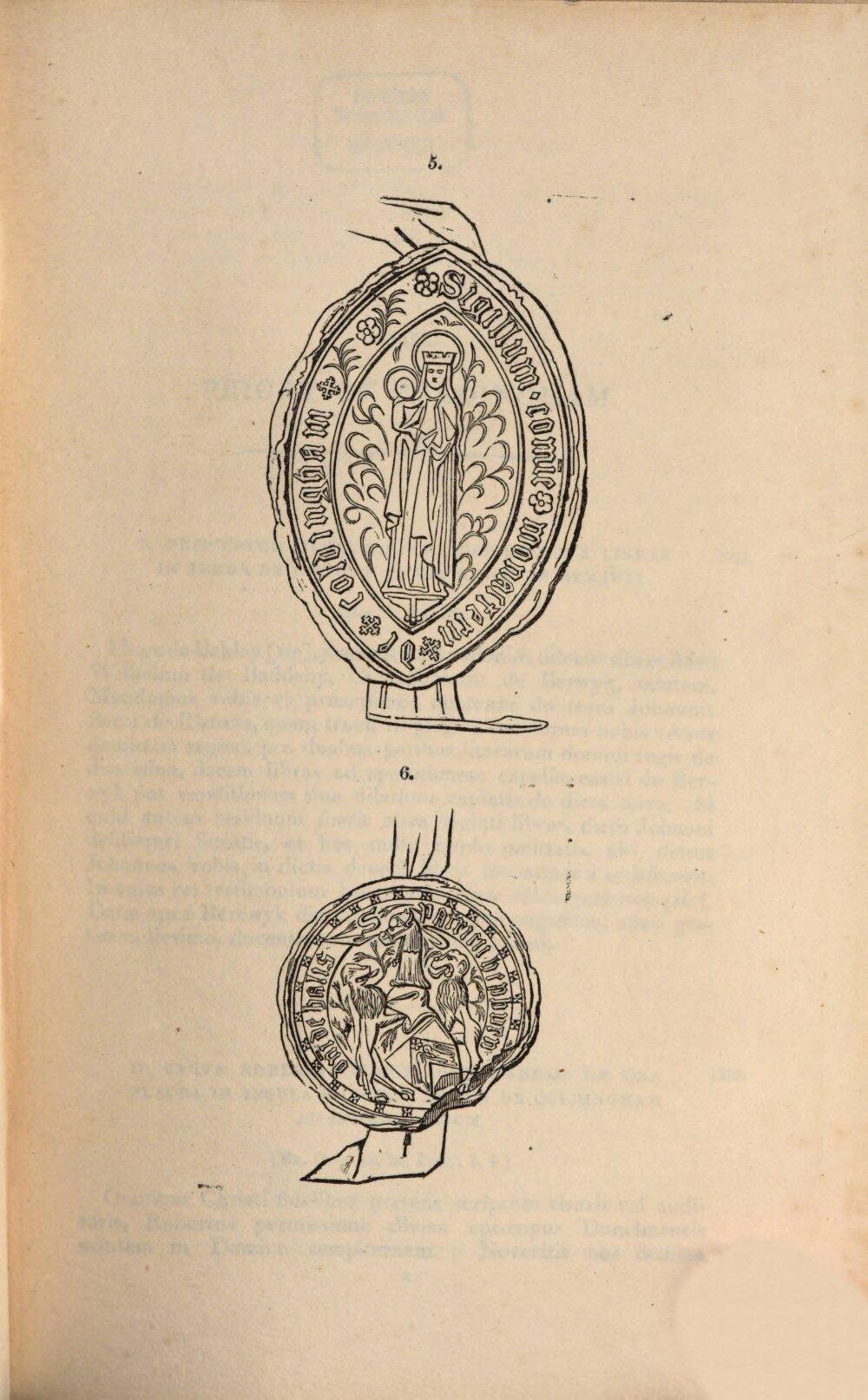 Image 00023