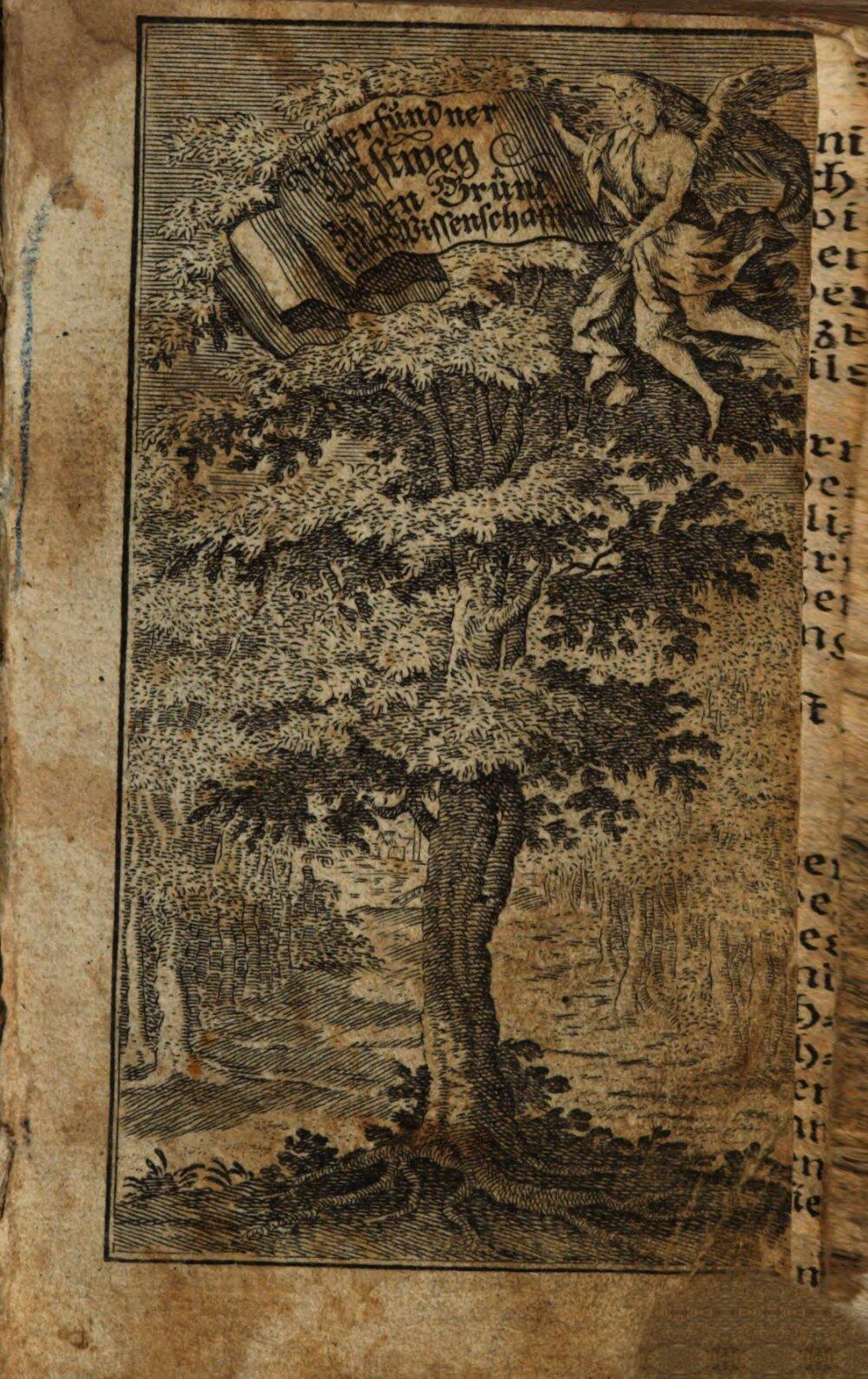 Image 00003