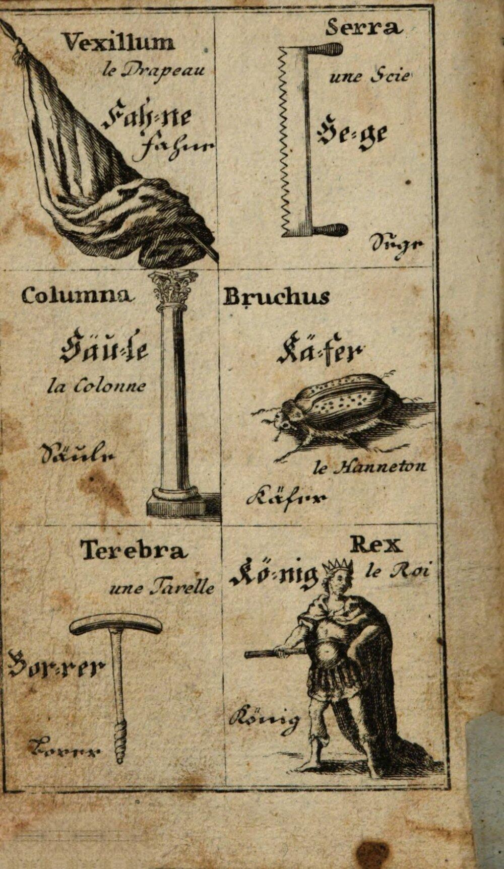 Image 00082
