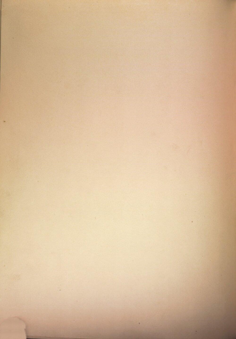 Image 00044