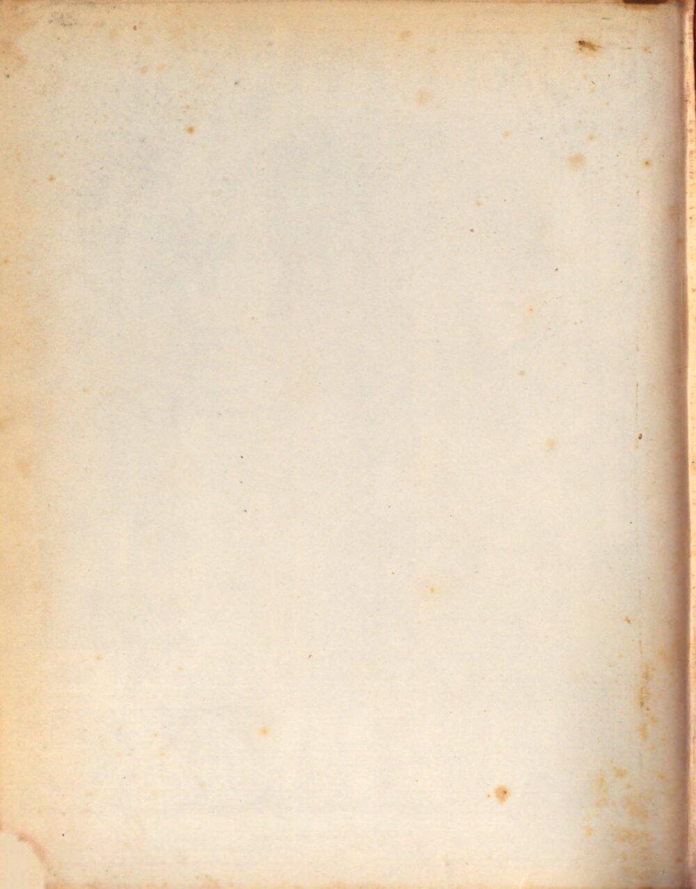 Image 00494
