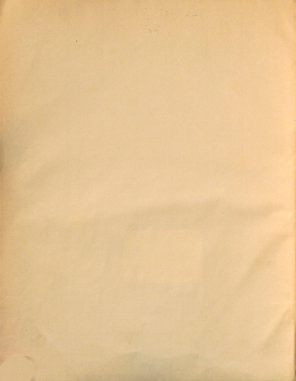 Image 00004