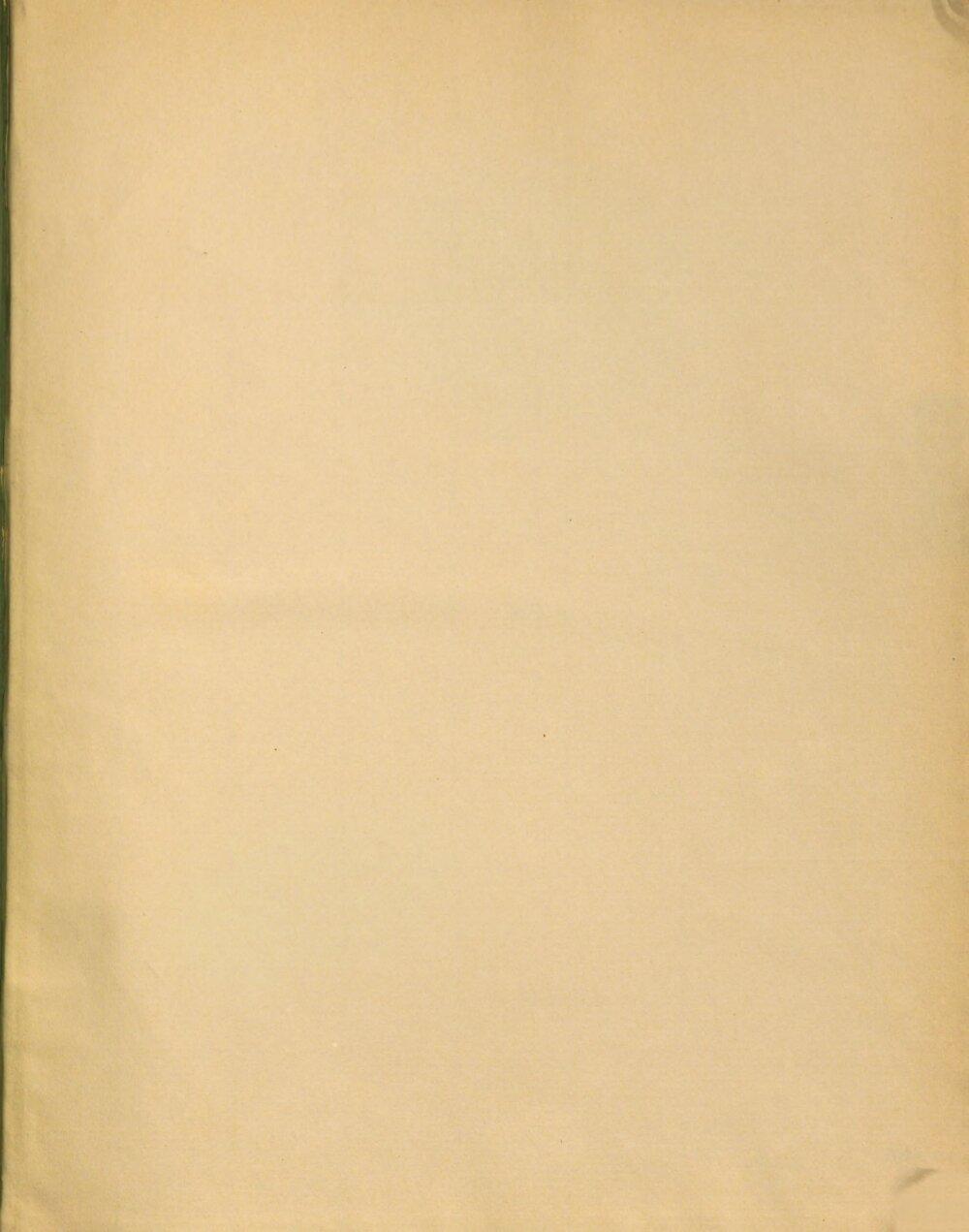 Image 00605