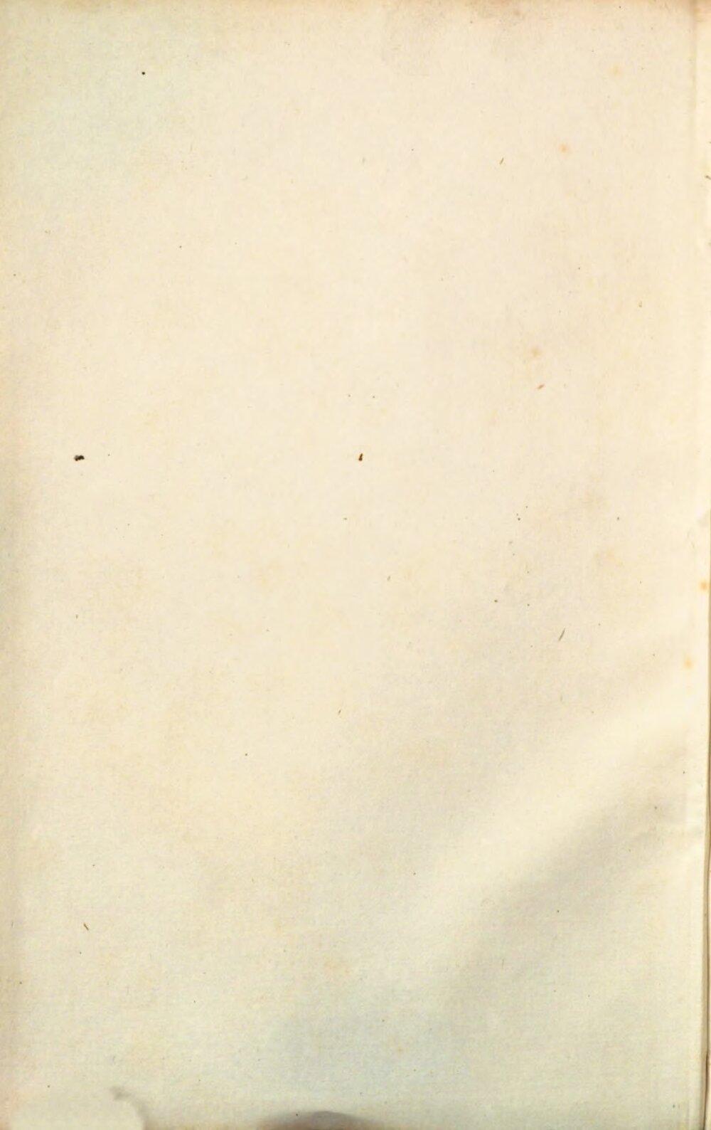 Image 00004
