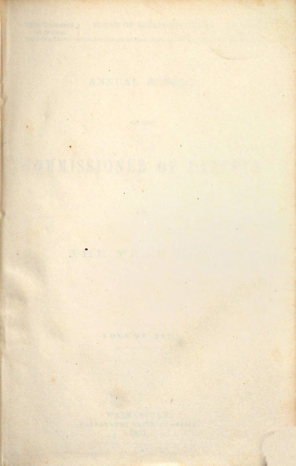 Image 00005