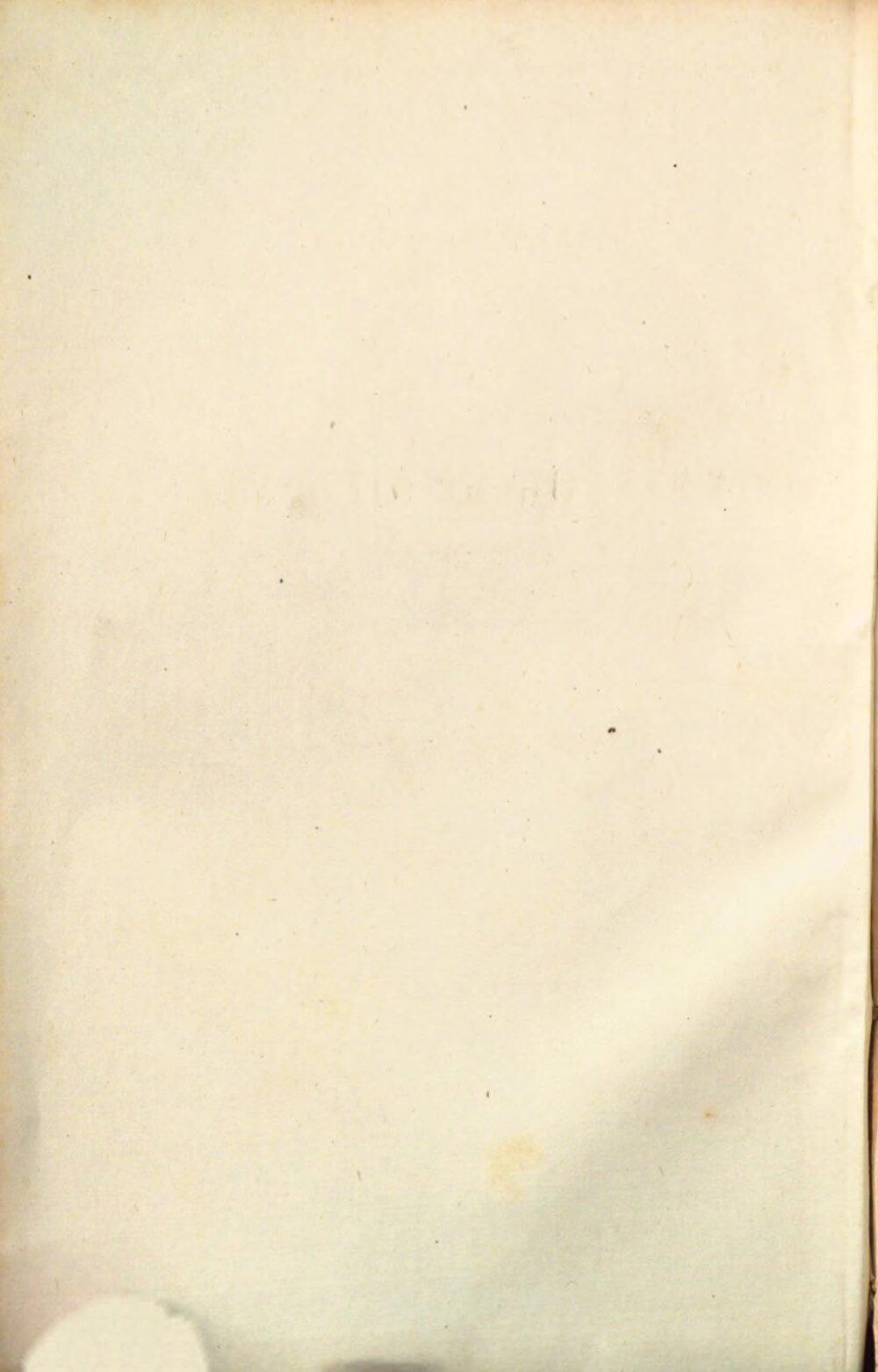 Image 00006