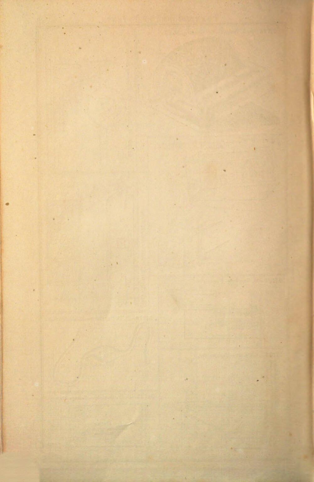 Image 00794
