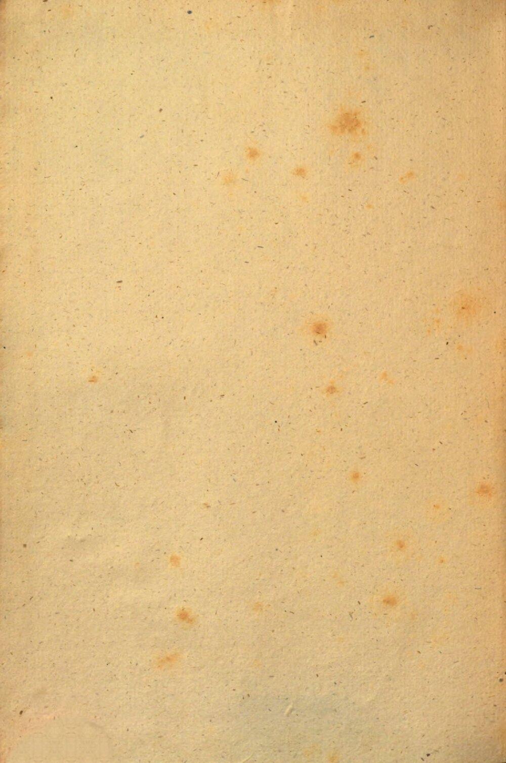 Image 00002